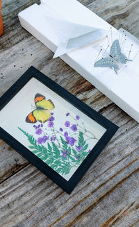 September Butterfly Pinning Workshop
