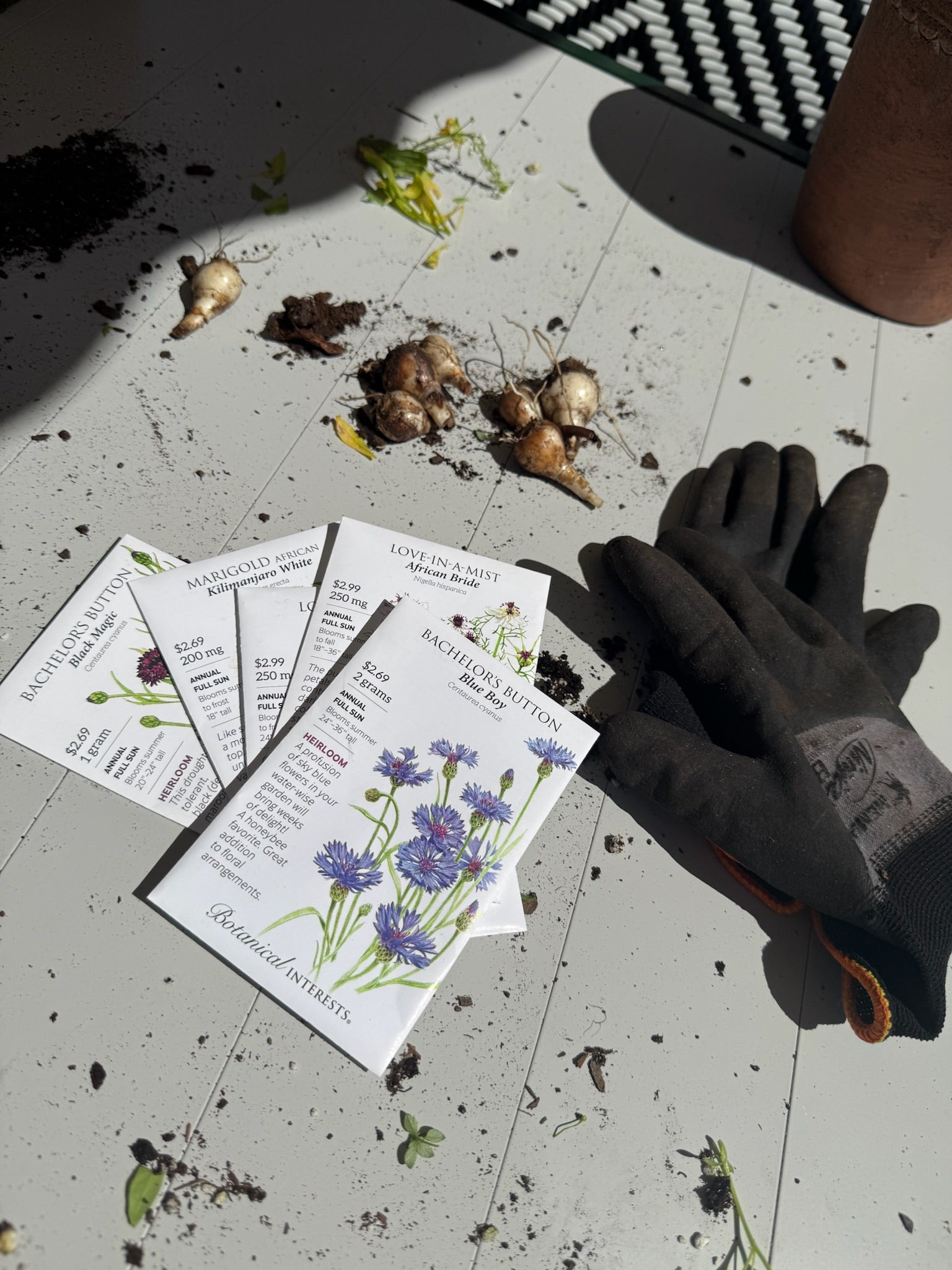 September Mini-Workshop