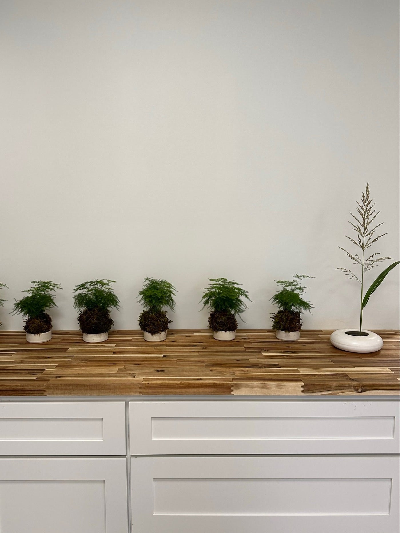 Kokedama Mini Workshop