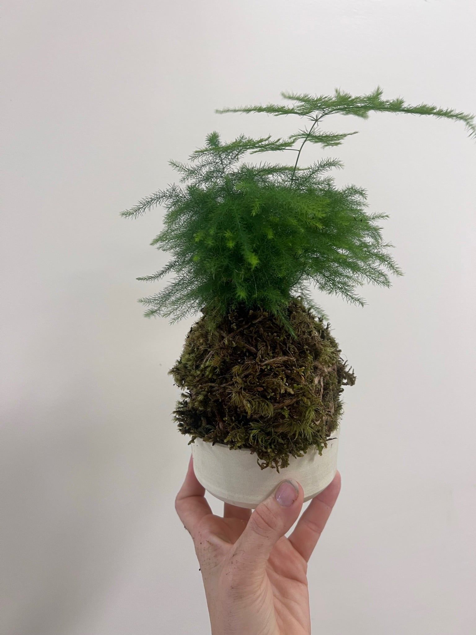 Kokedama Mini Workshop