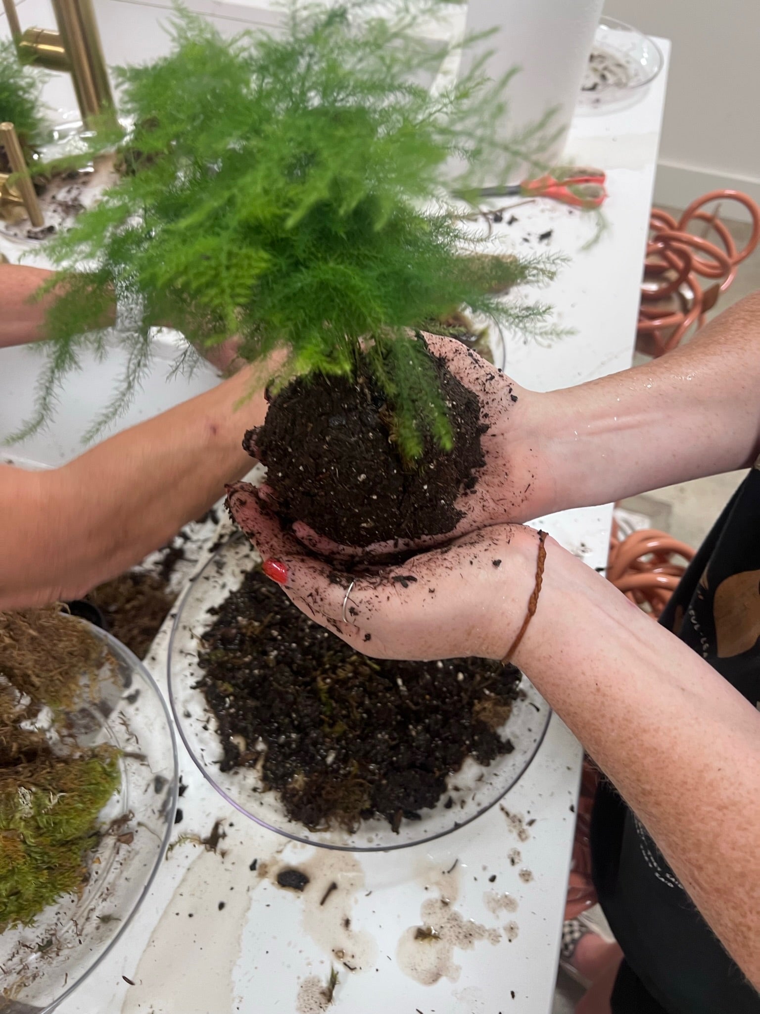 Kokedama Mini Workshop