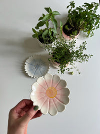 May Planted Herbs and Flower Prints