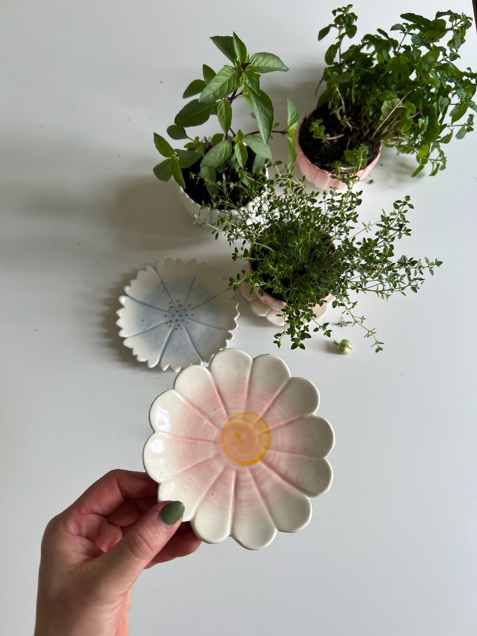 May Planted Herbs and Flower Prints