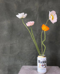 Bucket of Modelo!