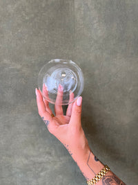 Hanging Glass Propagation Vases