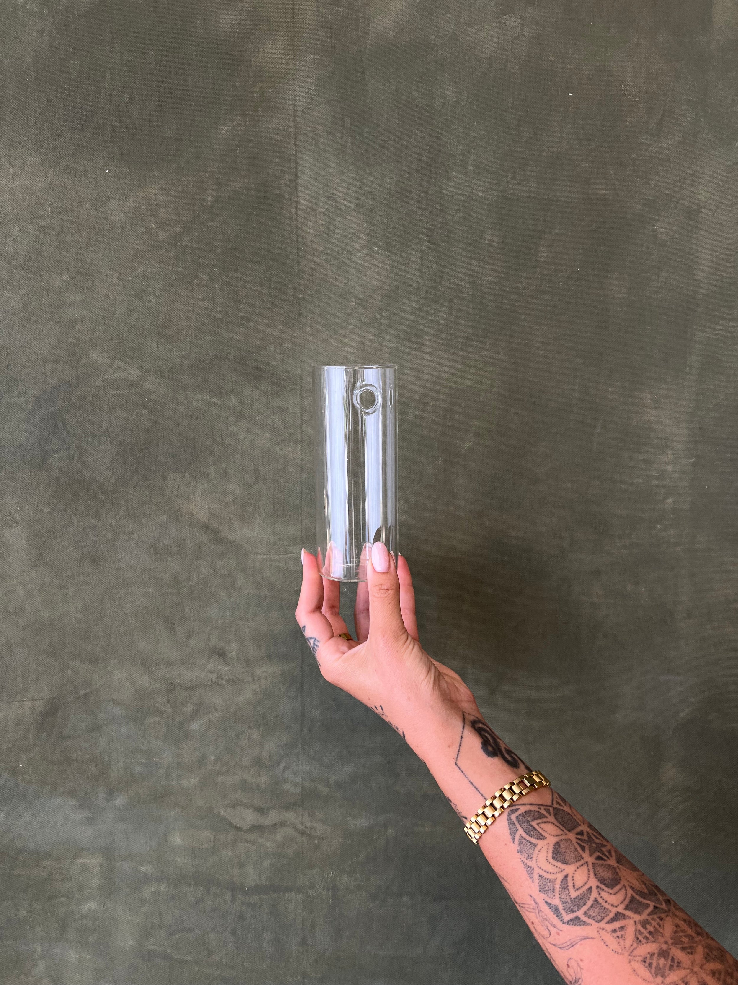 Hanging Glass Propagation Vases