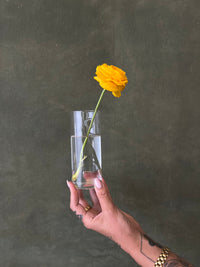 Hanging Glass Propagation Vases