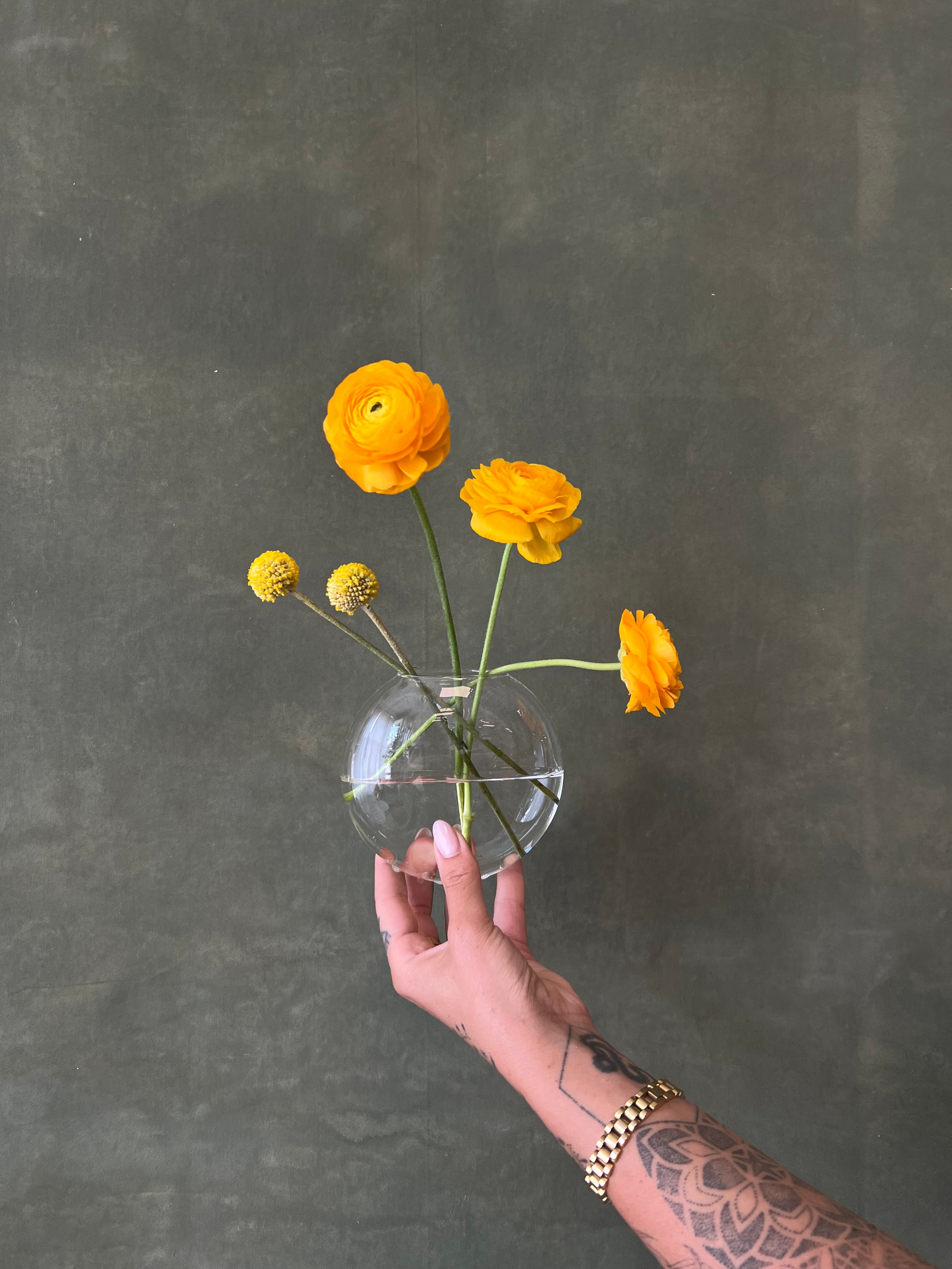 Hanging Glass Propagation Vases