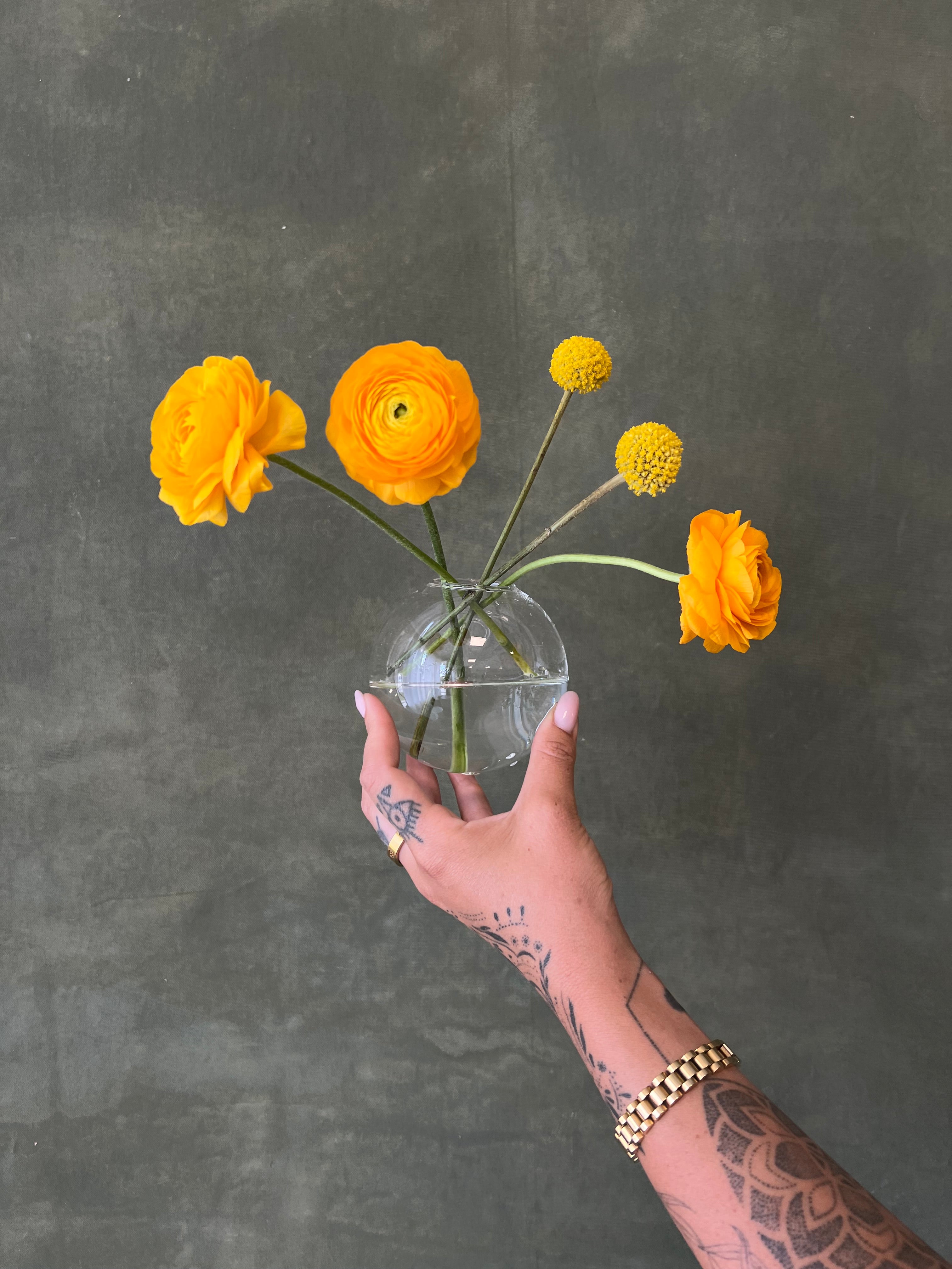 Hanging Glass Propagation Vases