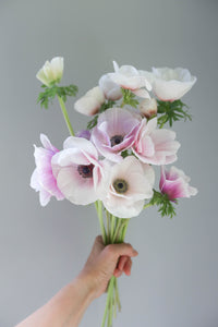 September Mini-Workshop
