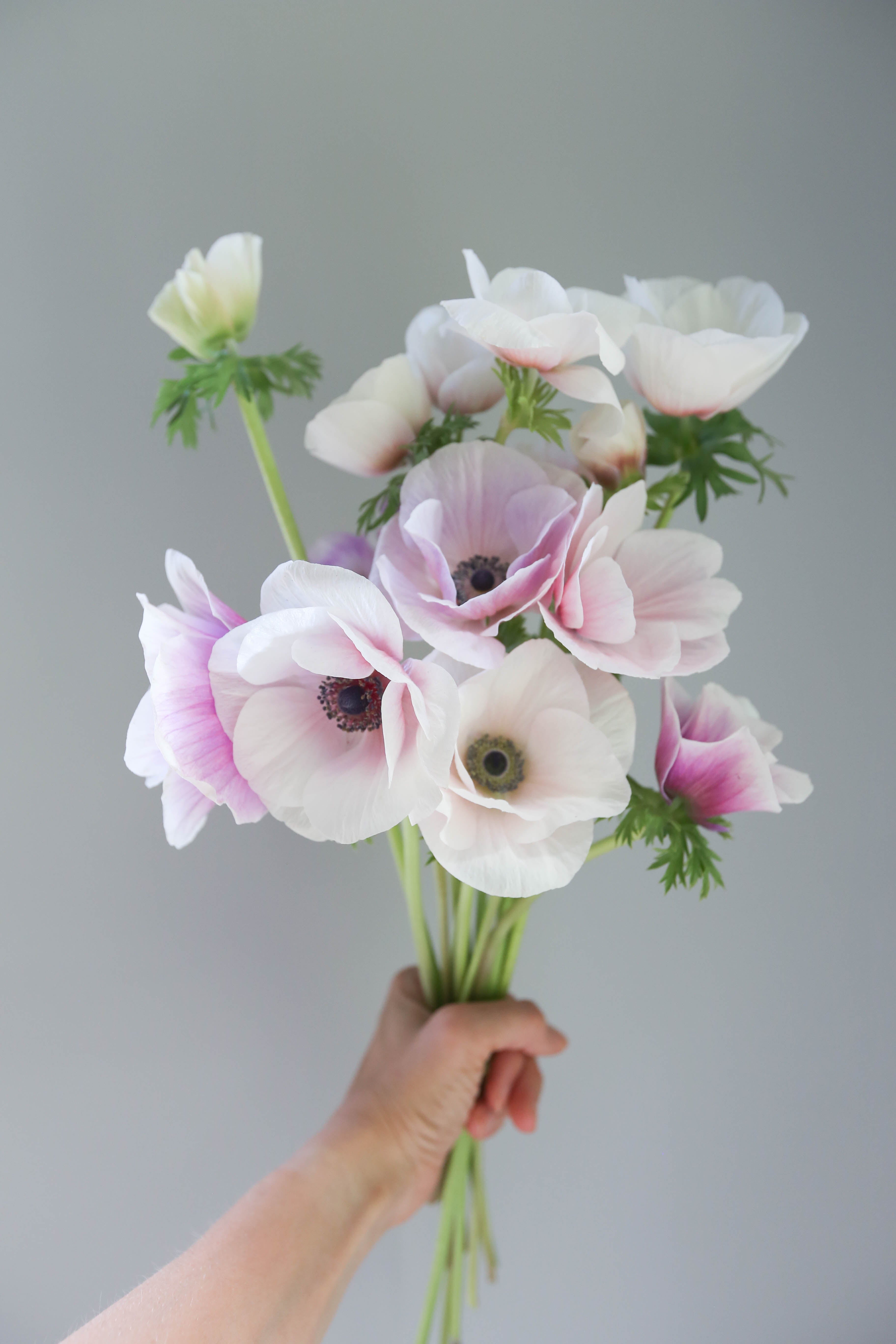 September Mini-Workshop