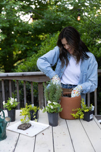 September Mini-Workshop