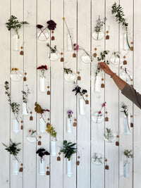 Hanging Glass Propagation Vases