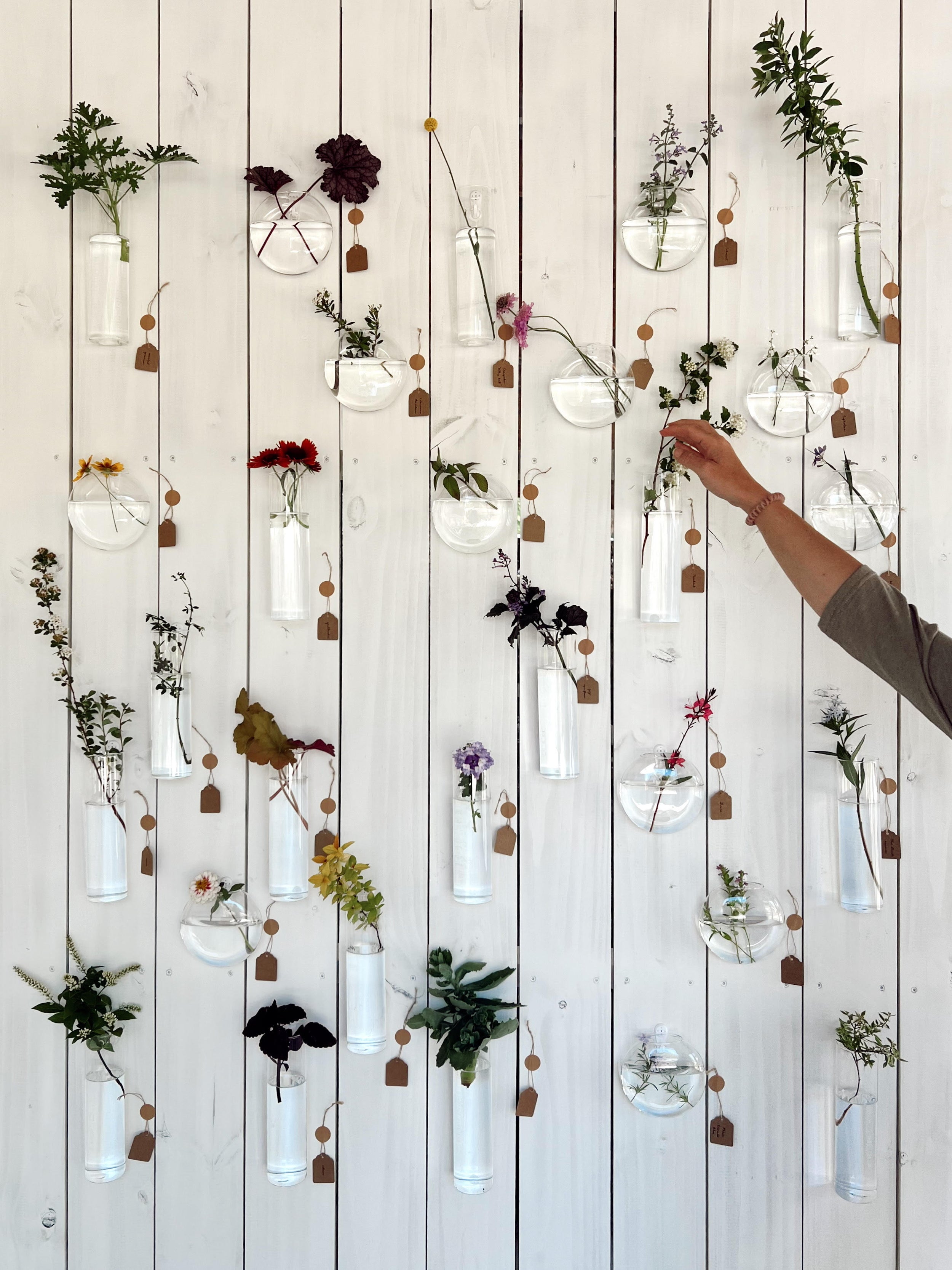 Hanging Glass Propagation Vases