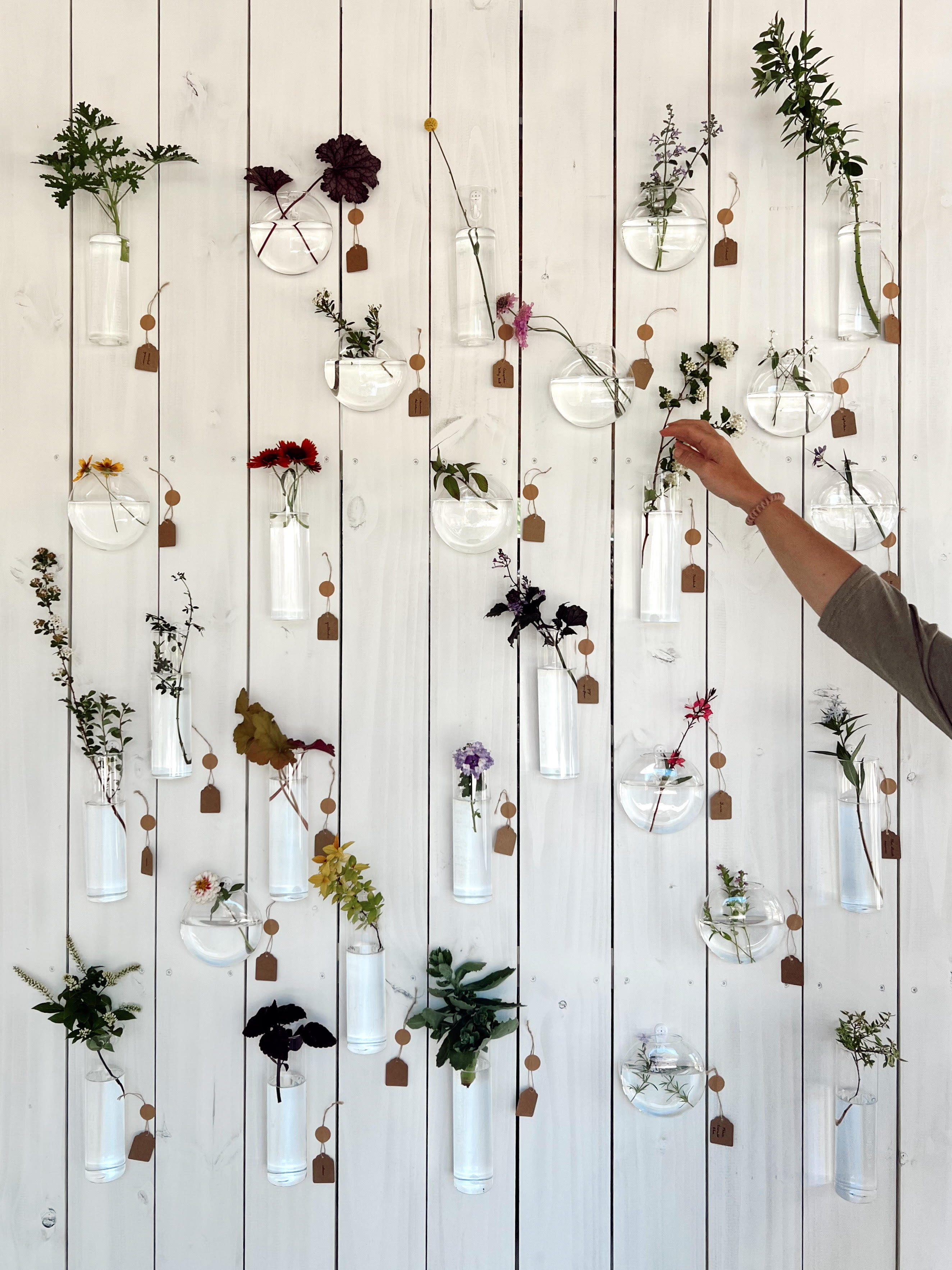 Hanging Glass Propagation Vases